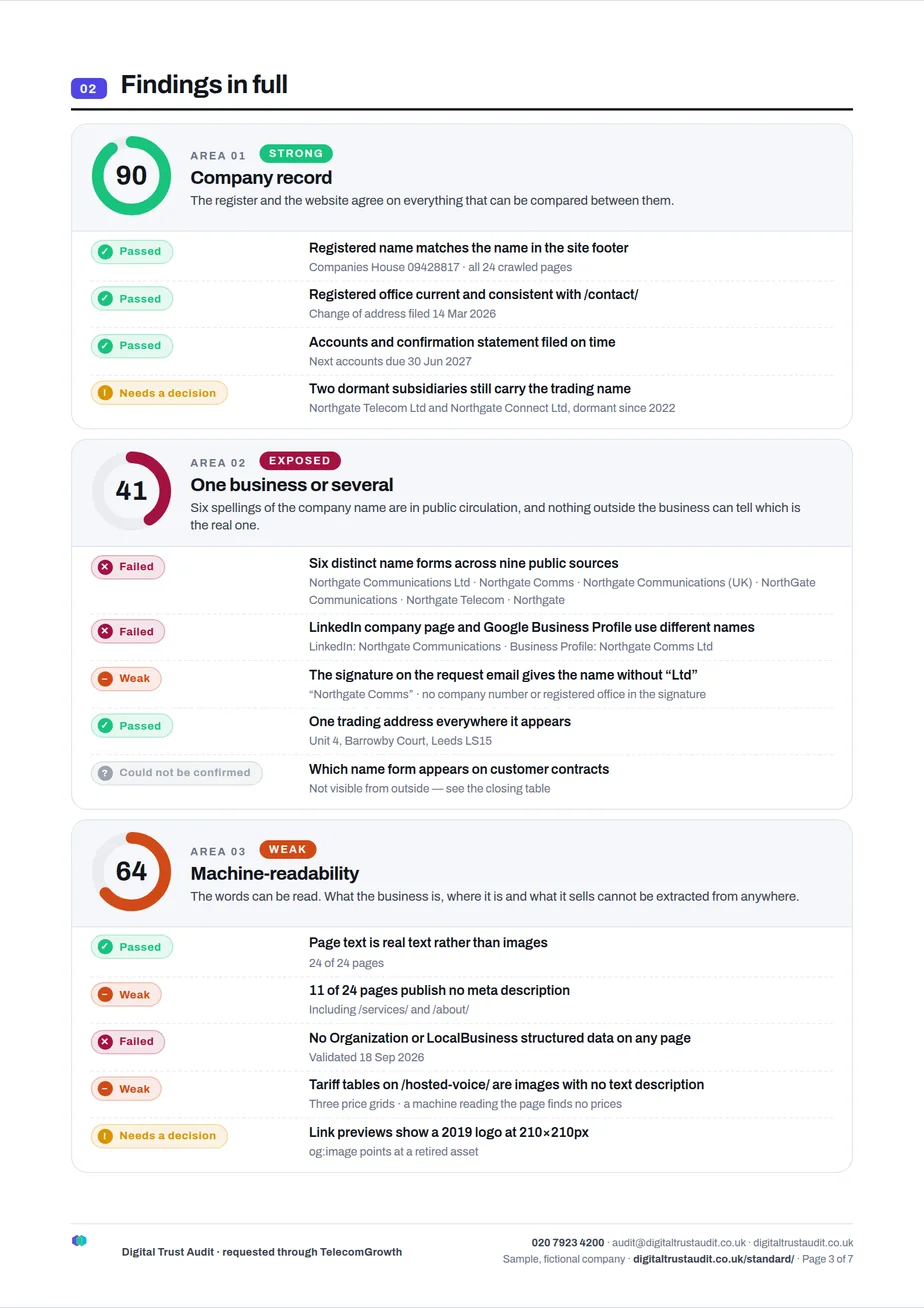 A findings page from the sample report, showing the company record, name consistency and machine-readability findings